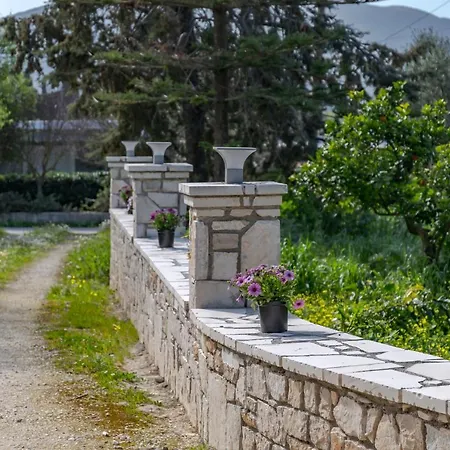 Heliotropio * Kalamákion